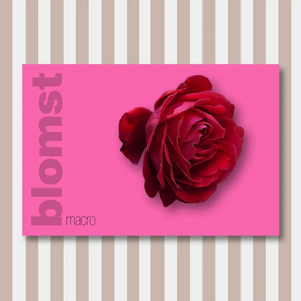 blomst 4.jpg