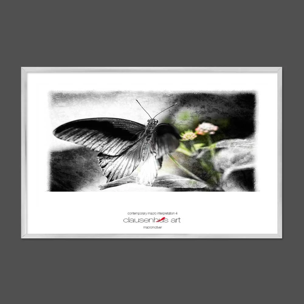 contemporary-macro-interpretation-4-copy.jpg