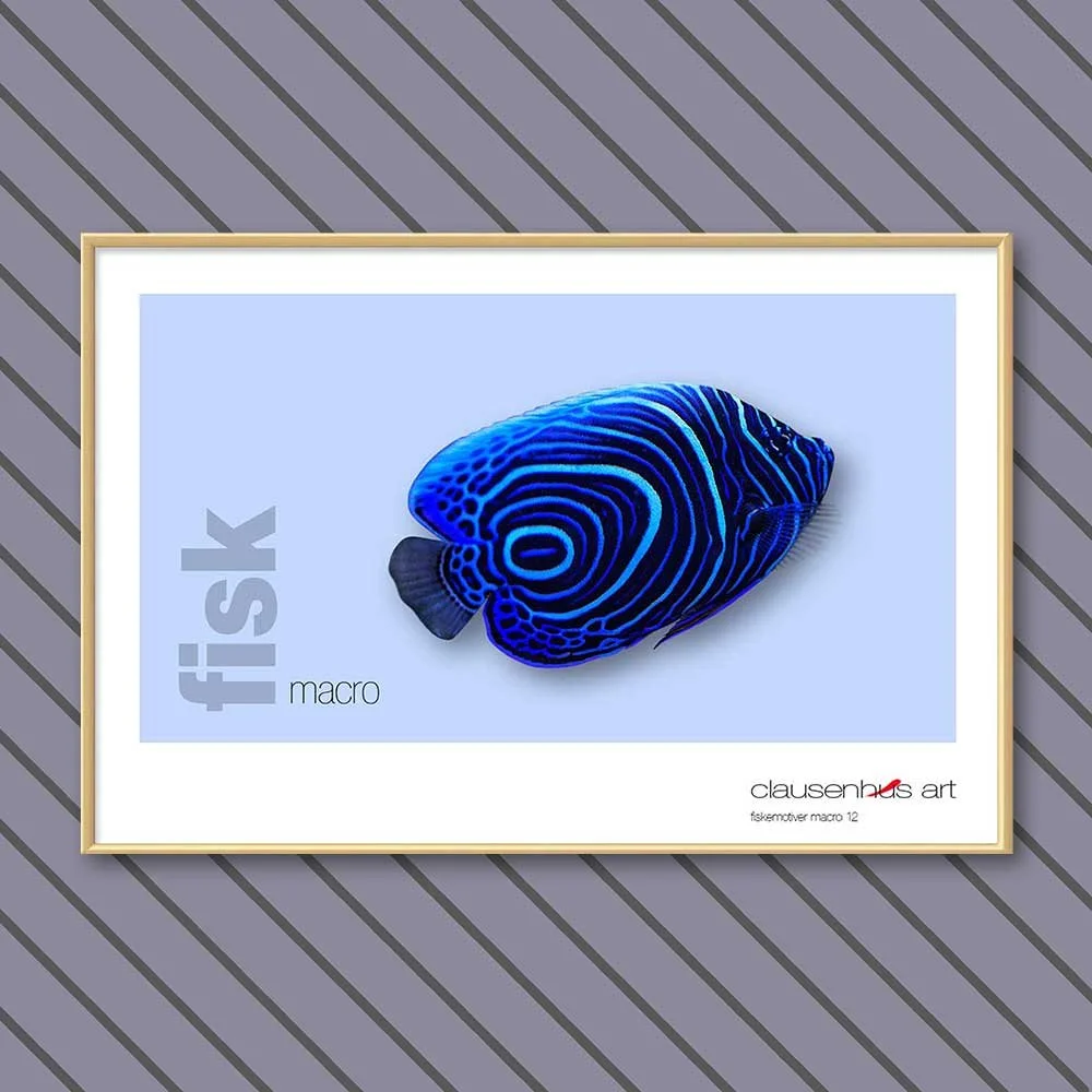 fiskemotiv-12-copy.jpg