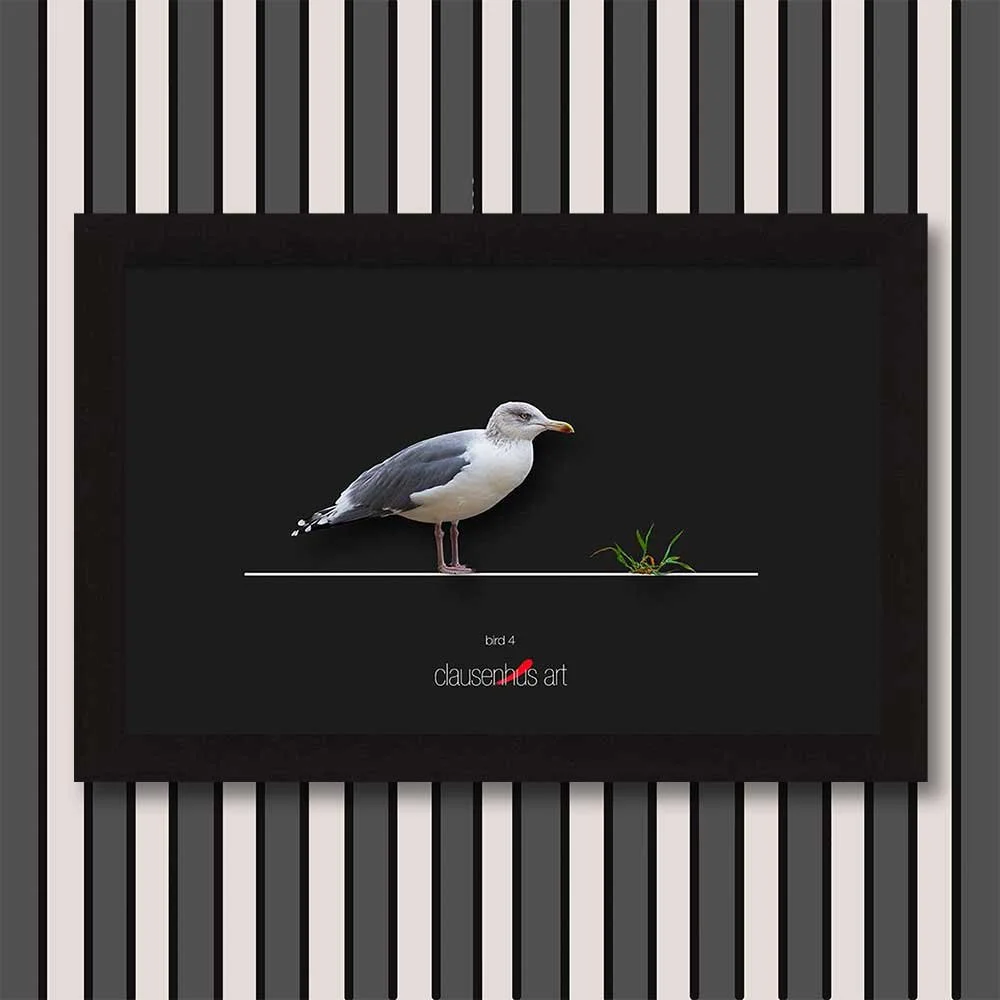 bird-4-copy.jpg