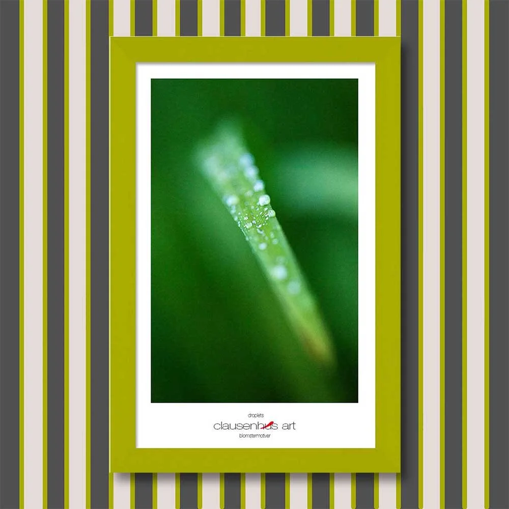 droplets-copy.jpg