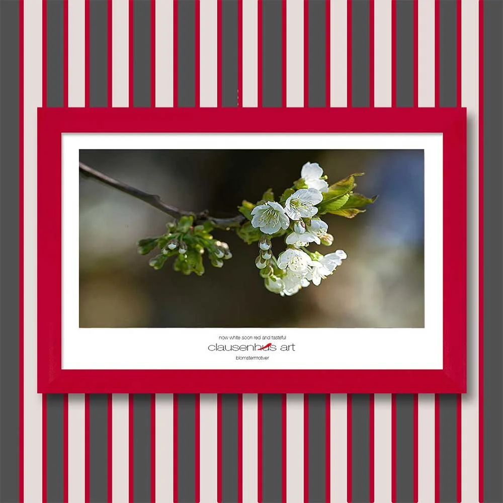 now-white-soon-red-and-tasteful-copy.jpg