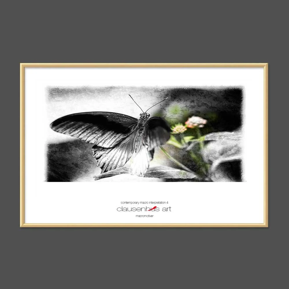 contemporary-macro-interpretation-4-copy.jpg
