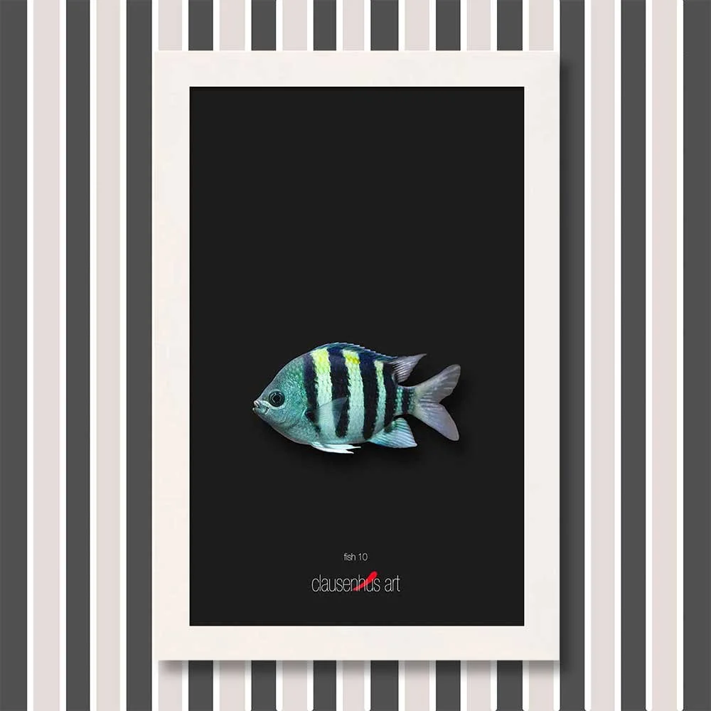 fish-10-copy.jpg