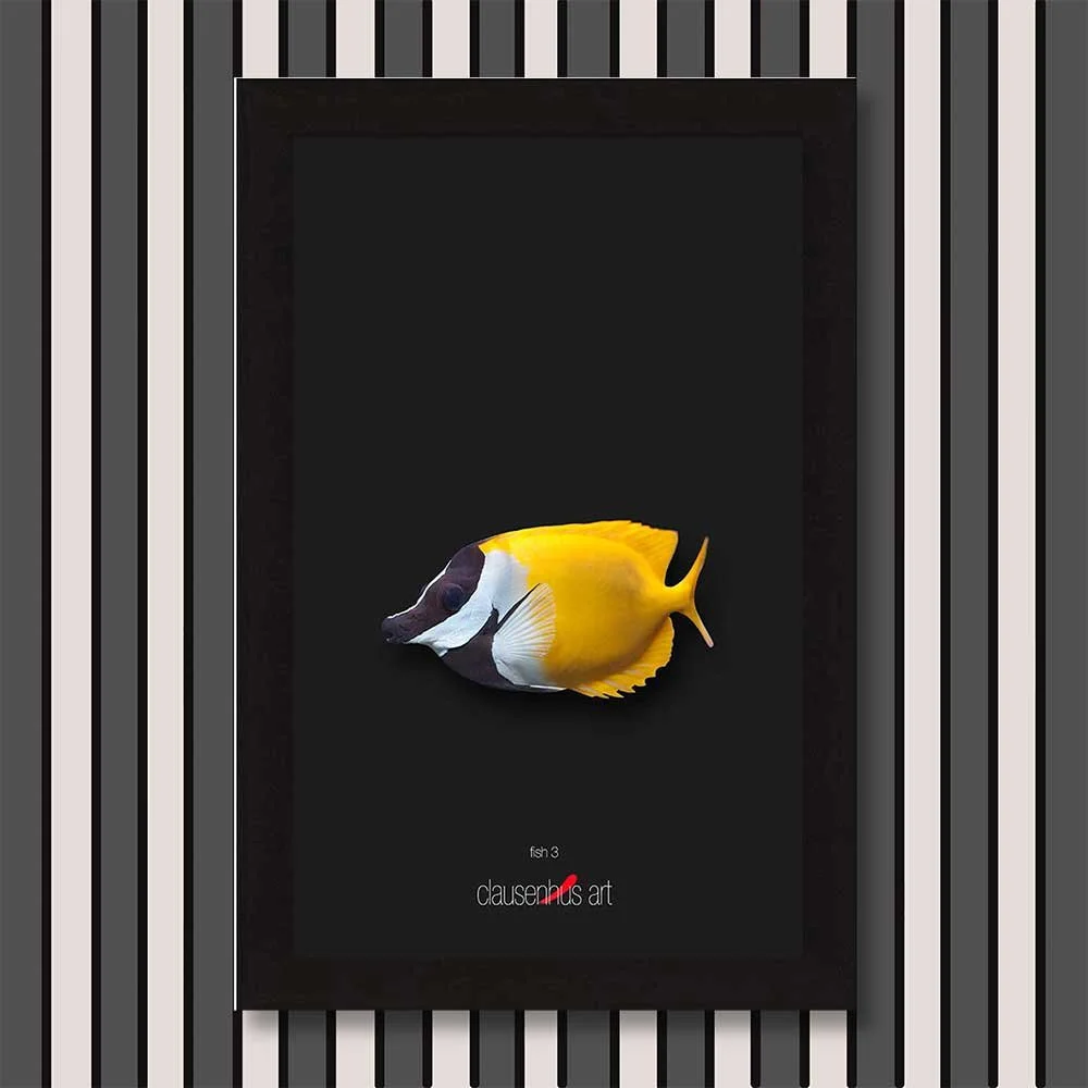 fish-3-copy.jpg