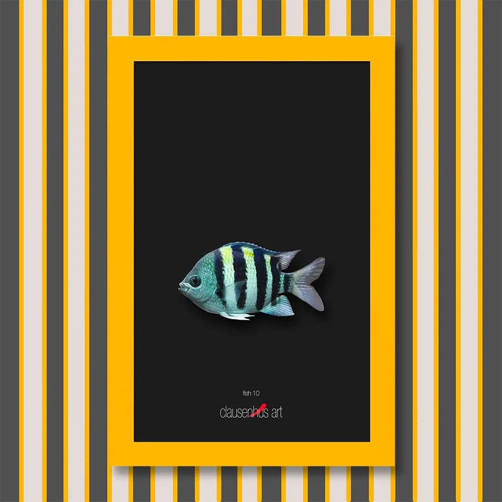fish-10-copy.jpg