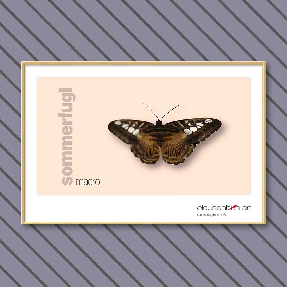 sommerfugl-13-copy.jpg