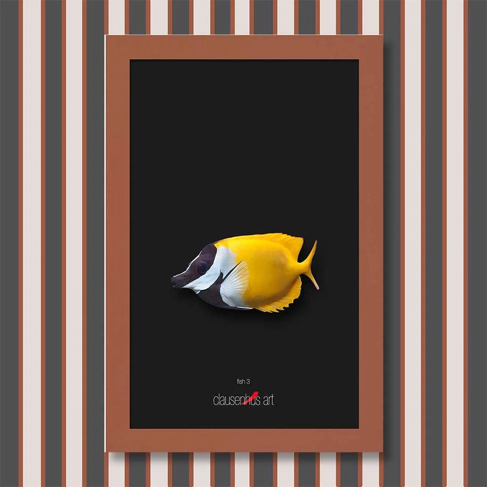 fish-3-copy.jpg