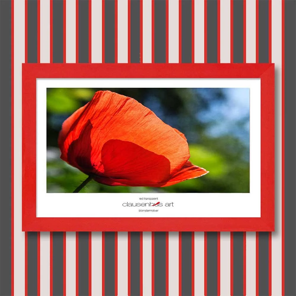 red-transparent-copy.jpg