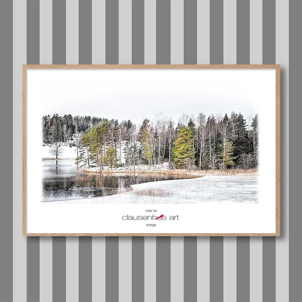 vinter-sø-copy.jpg