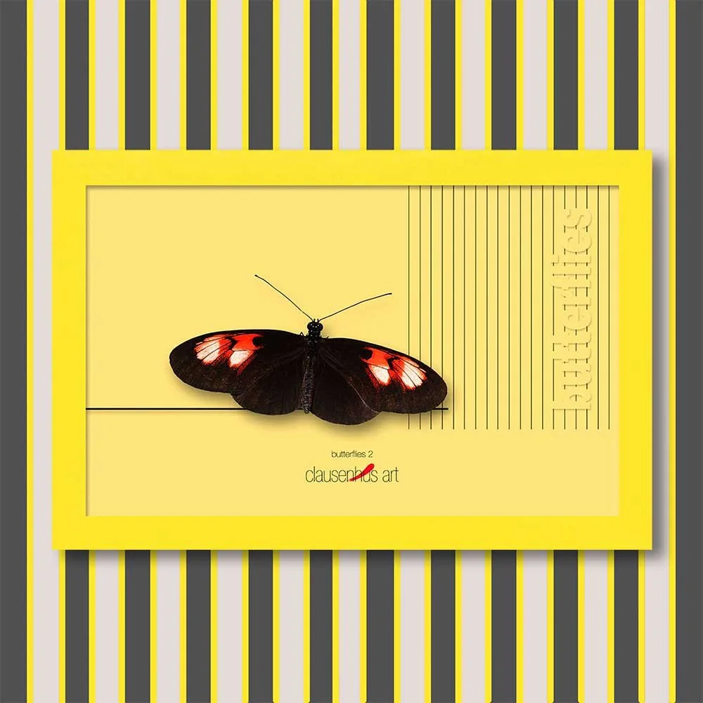 butterflies-2-copy.jpg