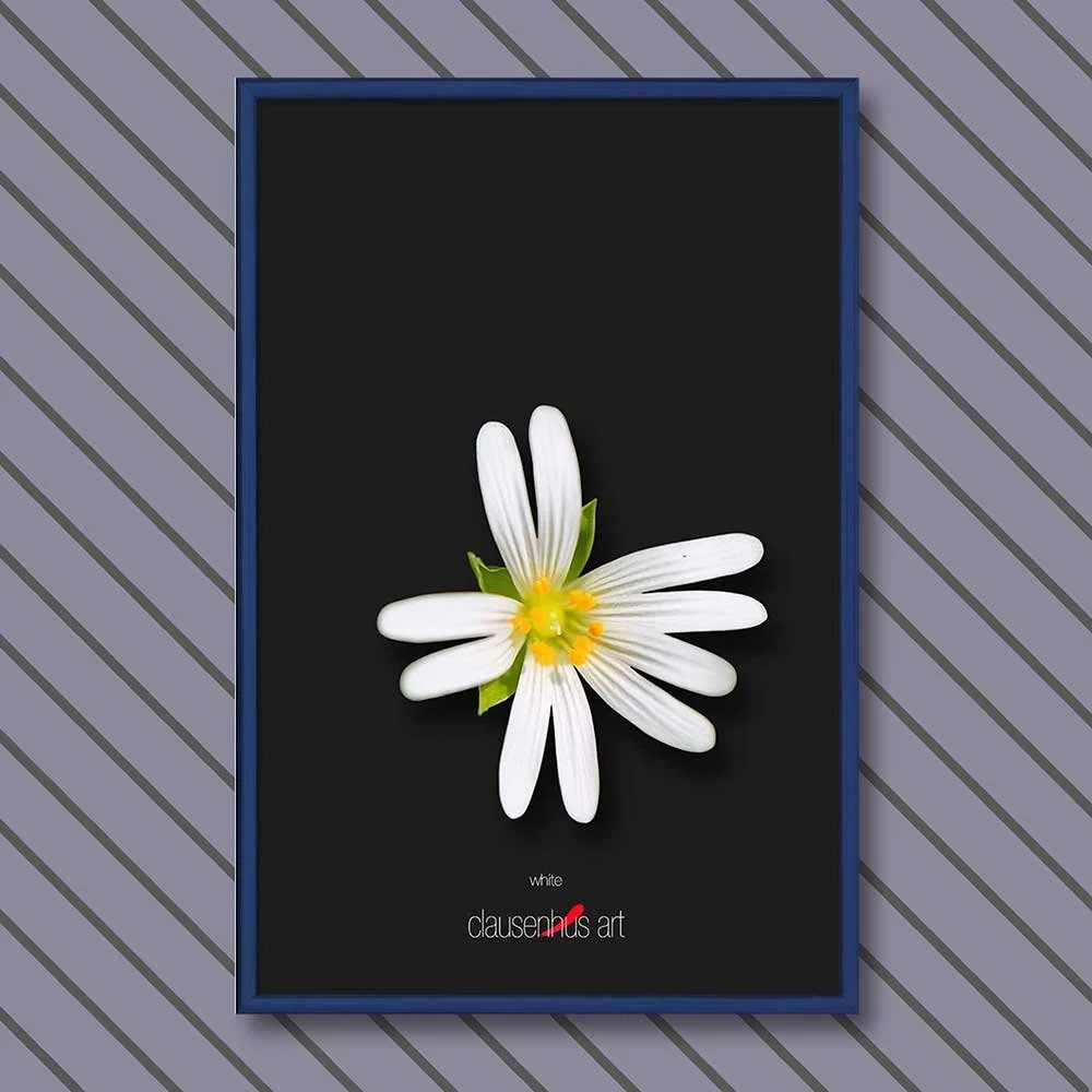 white-copy.jpg
