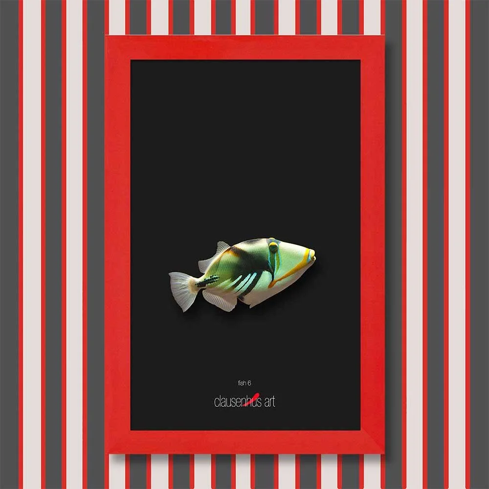 fish-6-copy.jpg