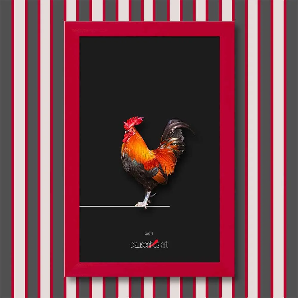 bird-1-copy.jpg