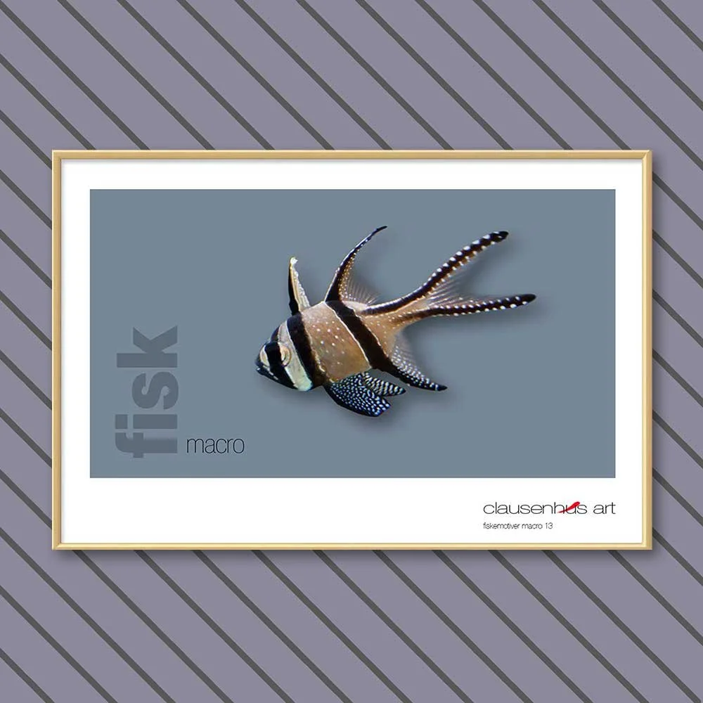 fiskemotiv-13-copy.jpg