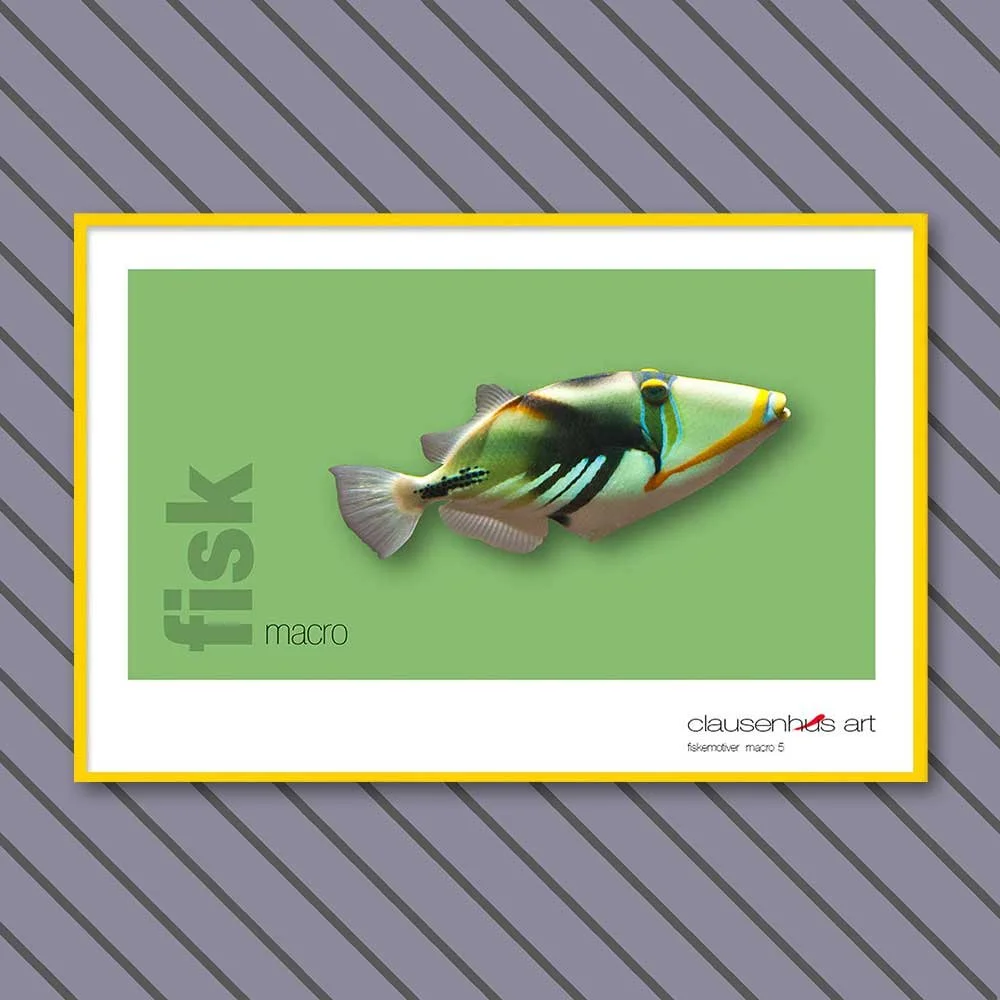 fiskemotiv-5-copy.jpg