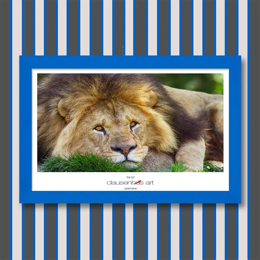 the-lion.jpg