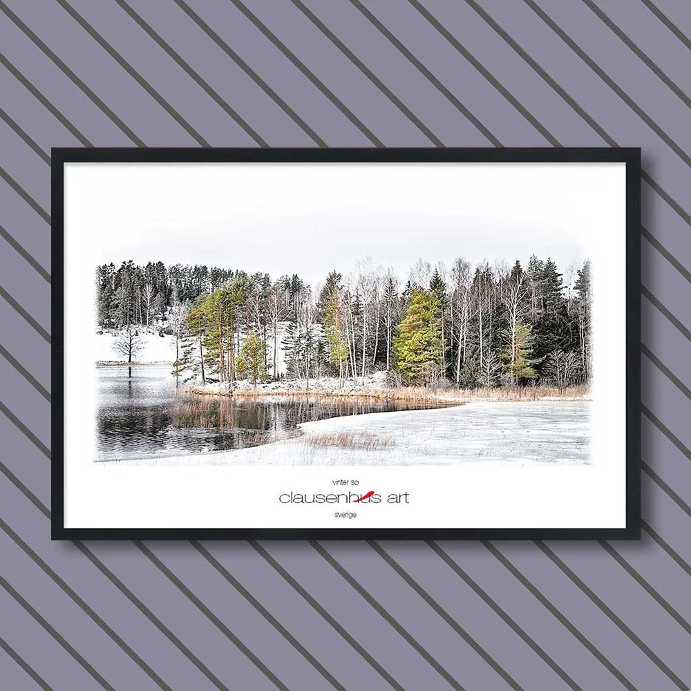 vinter-sø-copy.jpg