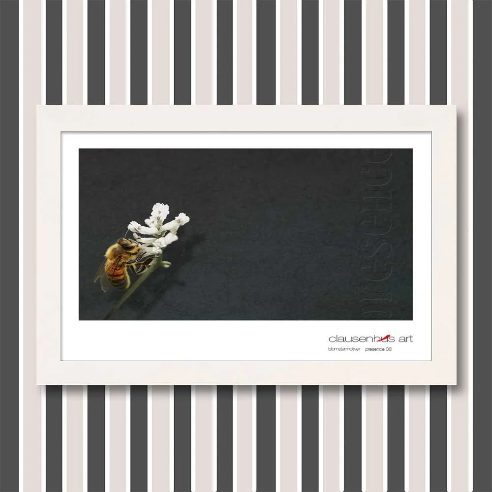 presence-08.jpg