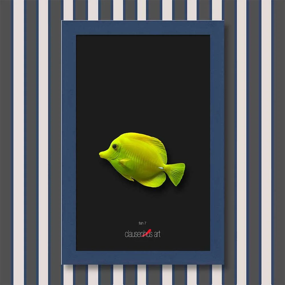 fish-7-copy.jpg