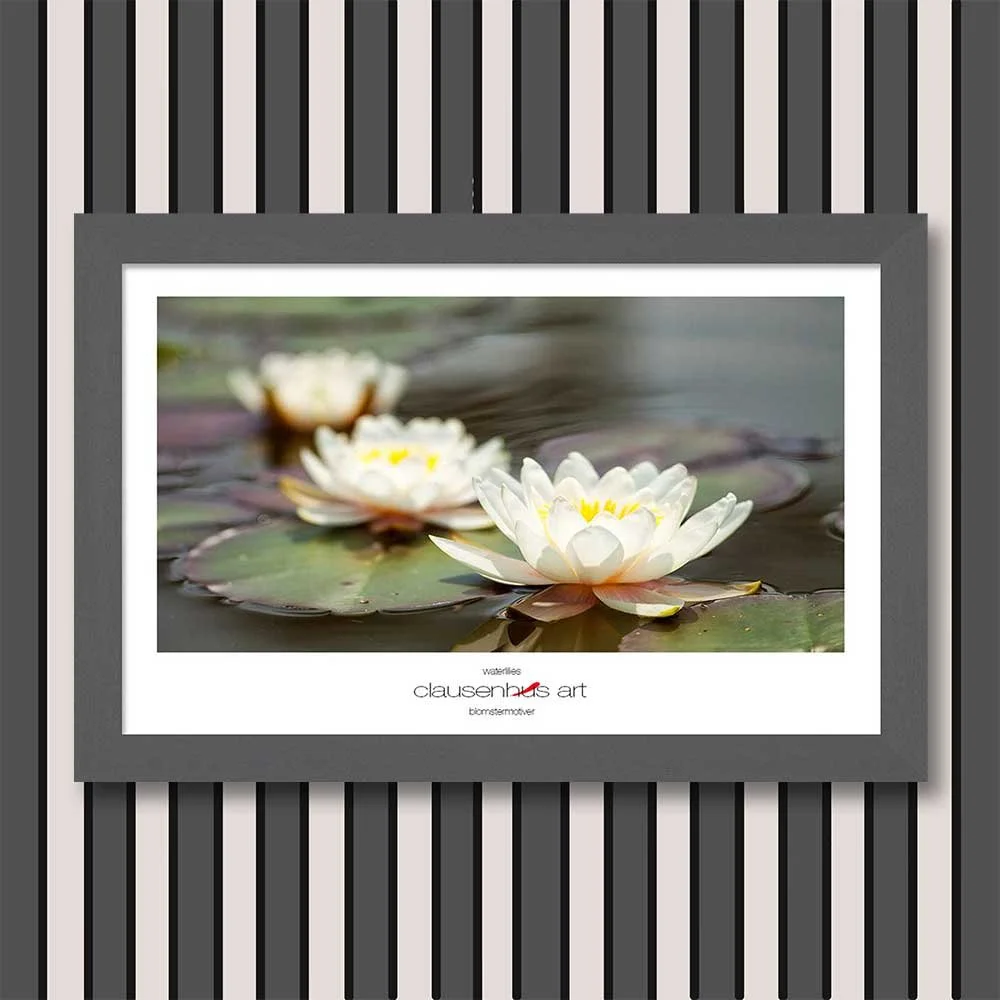 waterlilies-copy.jpg