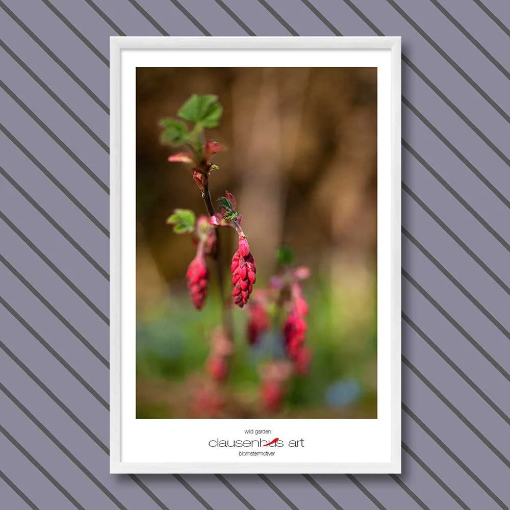wild-garden-copy.jpg