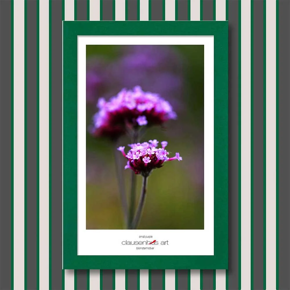 small-purple-copy.jpg