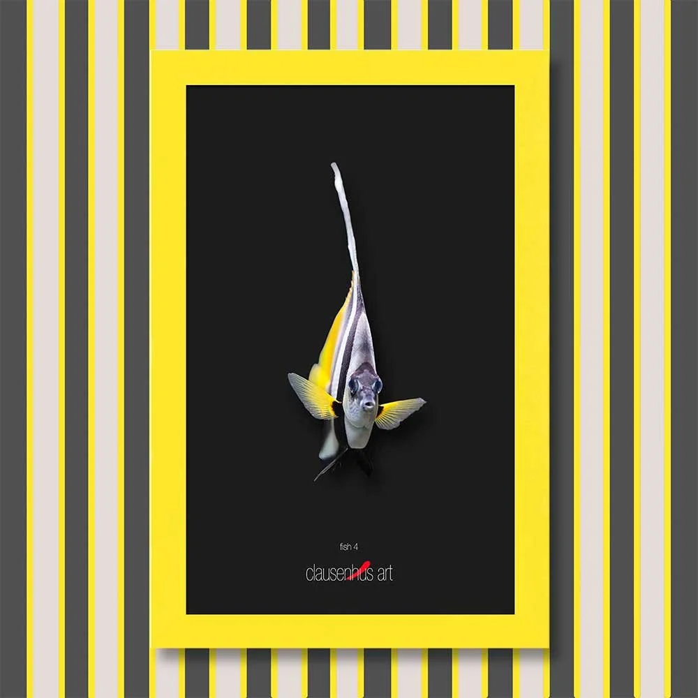 fish-4-copy.jpg
