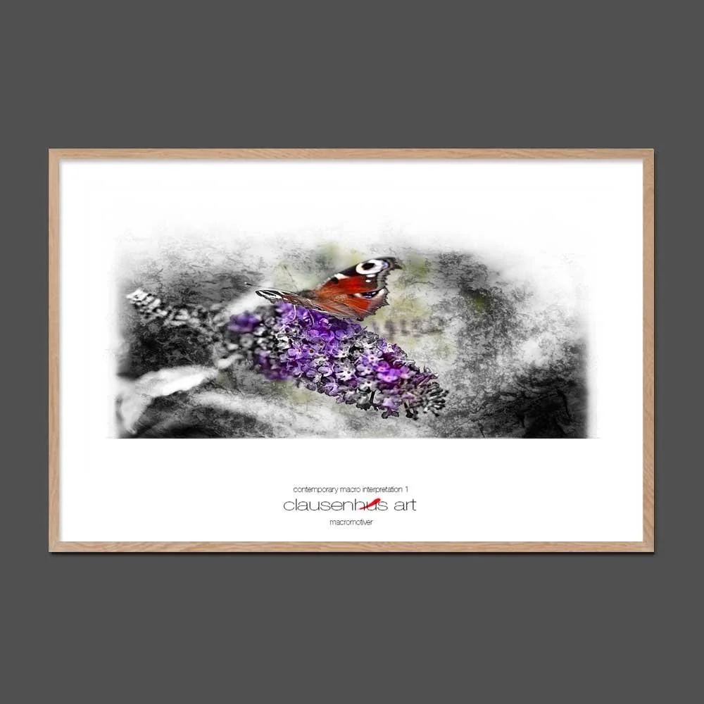 contemporary-macro-interpretation-1.jpg
