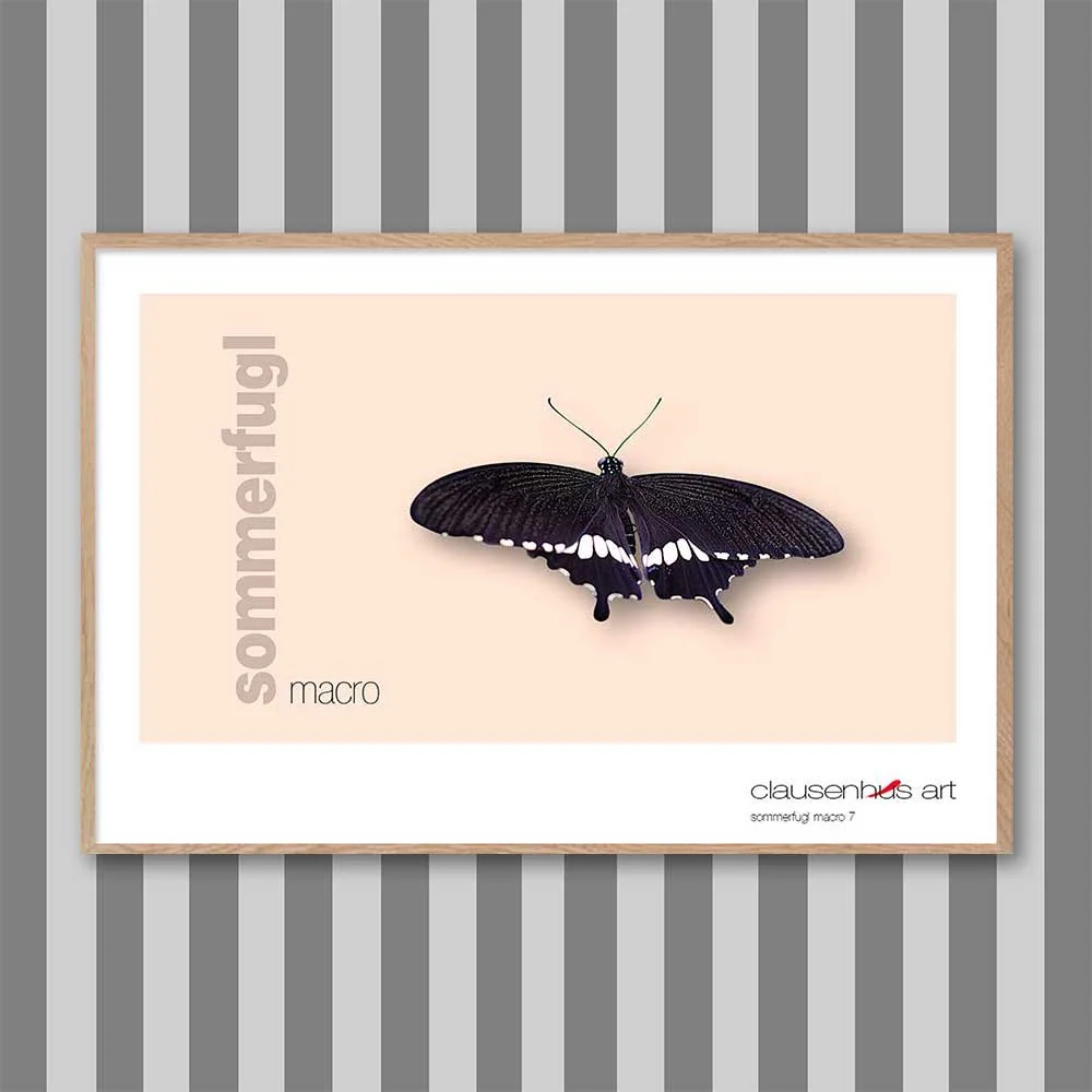 sommerfugl-7-copy.jpg