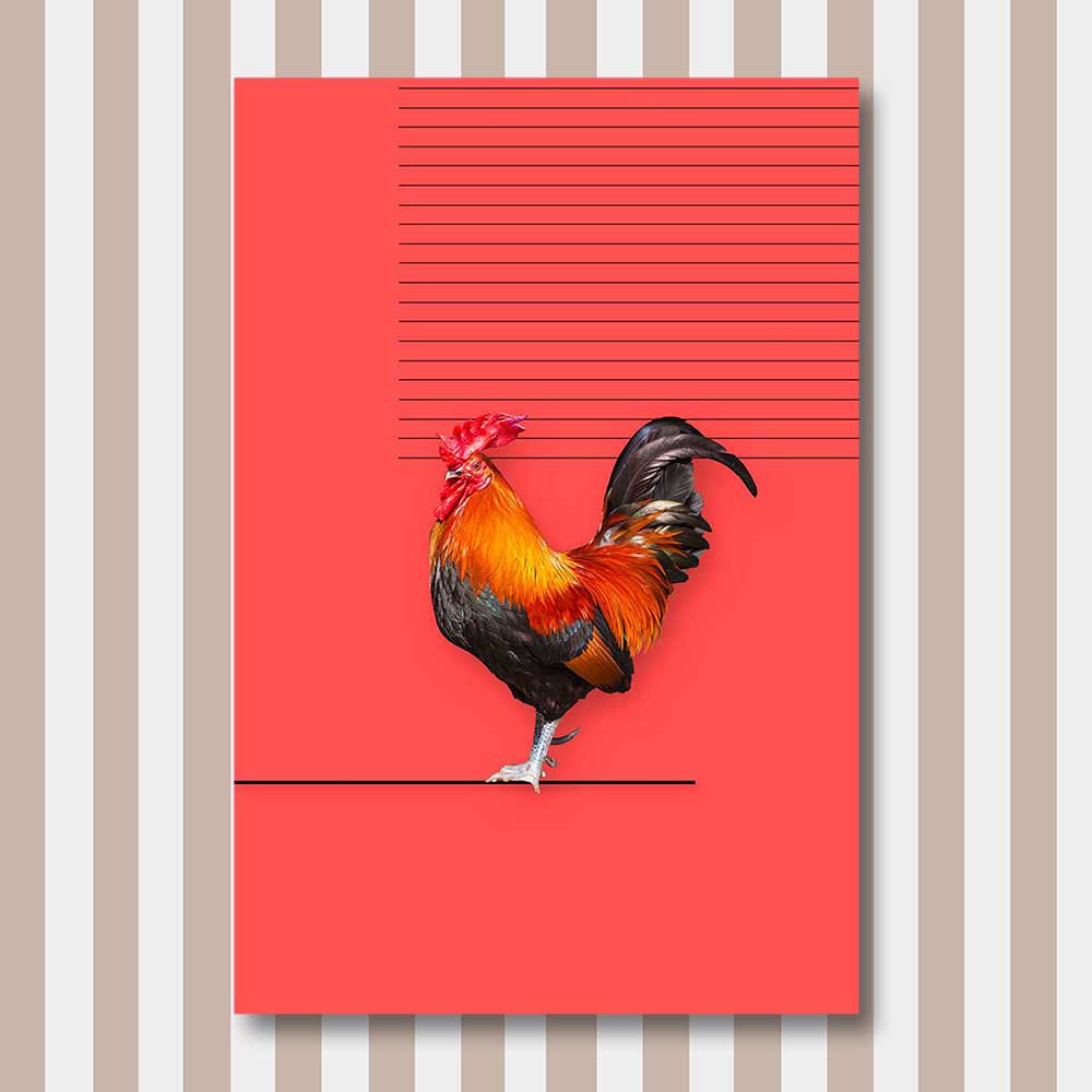 bird 11.jpg