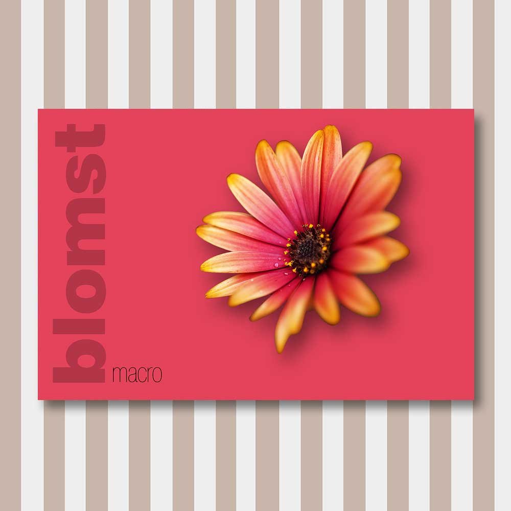 blomst 3.jpg