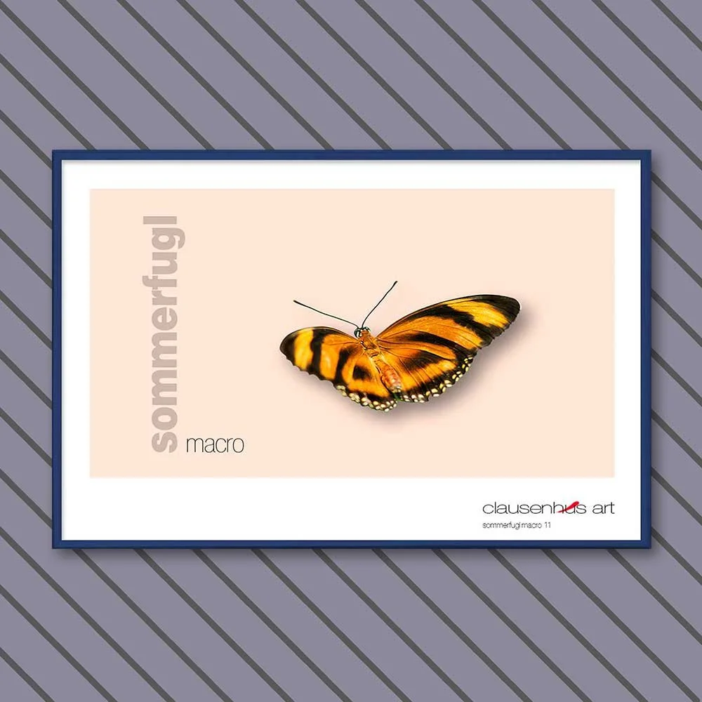sommerfugl-11-copy.jpg