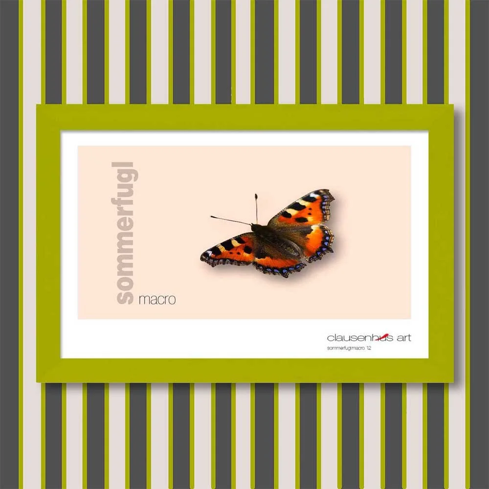 sommerfugl-12.jpg