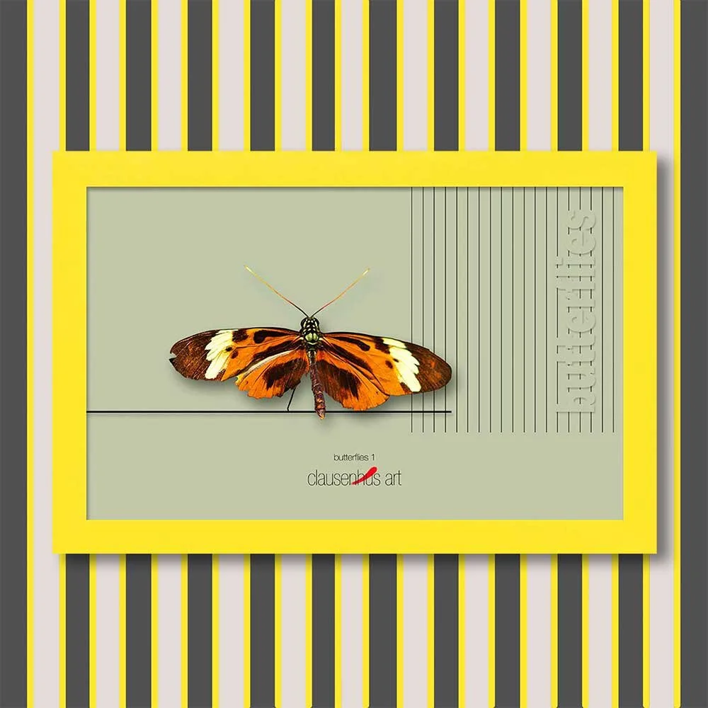 butterflies-1-copy.jpg
