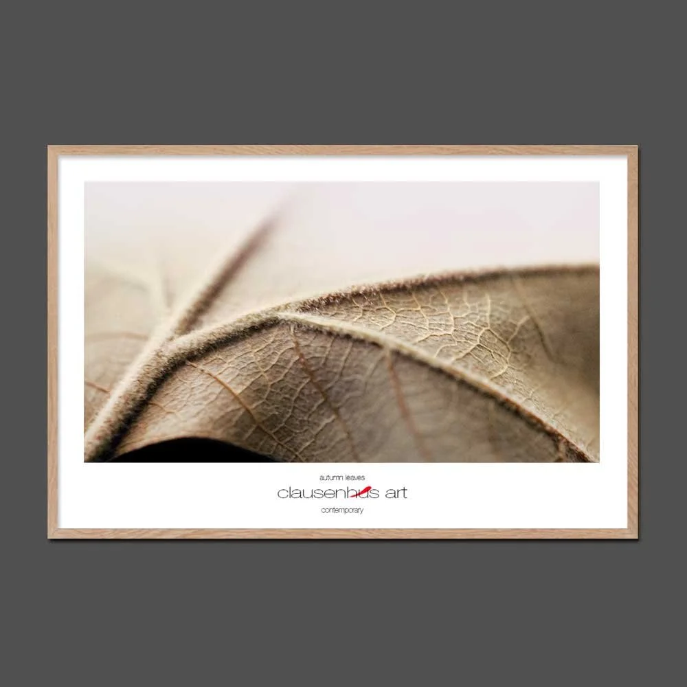 autumn-leaves.jpg