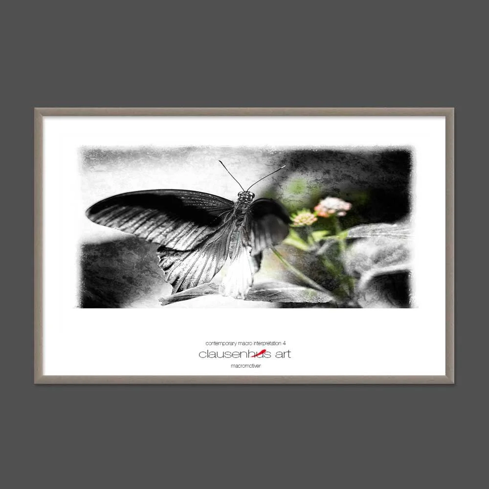 contemporary-macro-interpretation-4-copy.jpg