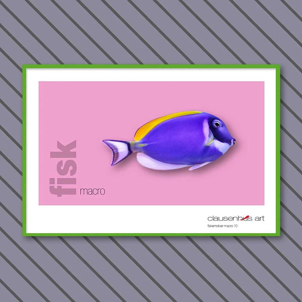 fiskemotiv-10-copy.jpg