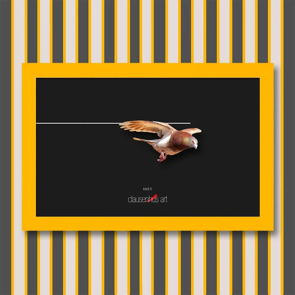 bird-5-copy.jpg