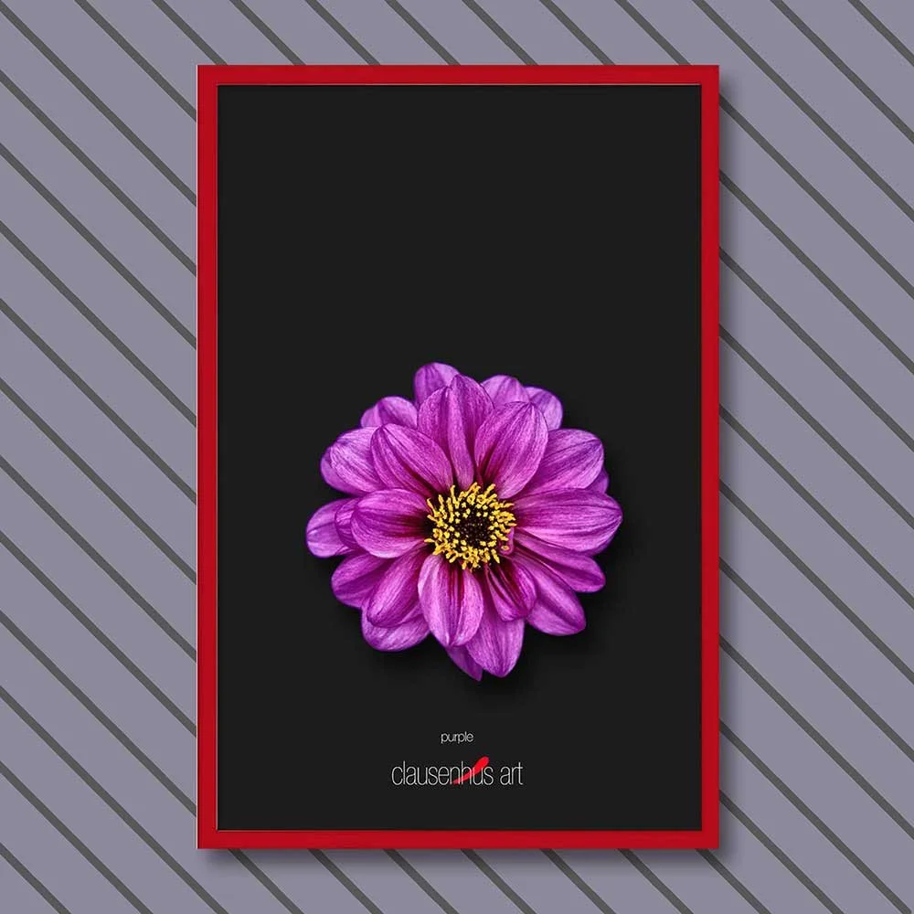 purple-copy.jpg