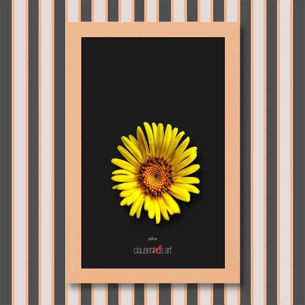 yellow-copy.jpg
