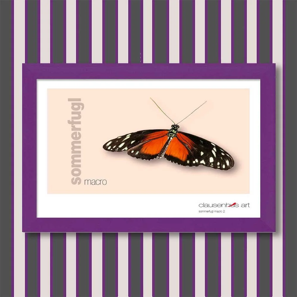 sommerfugl-2-copy.jpg