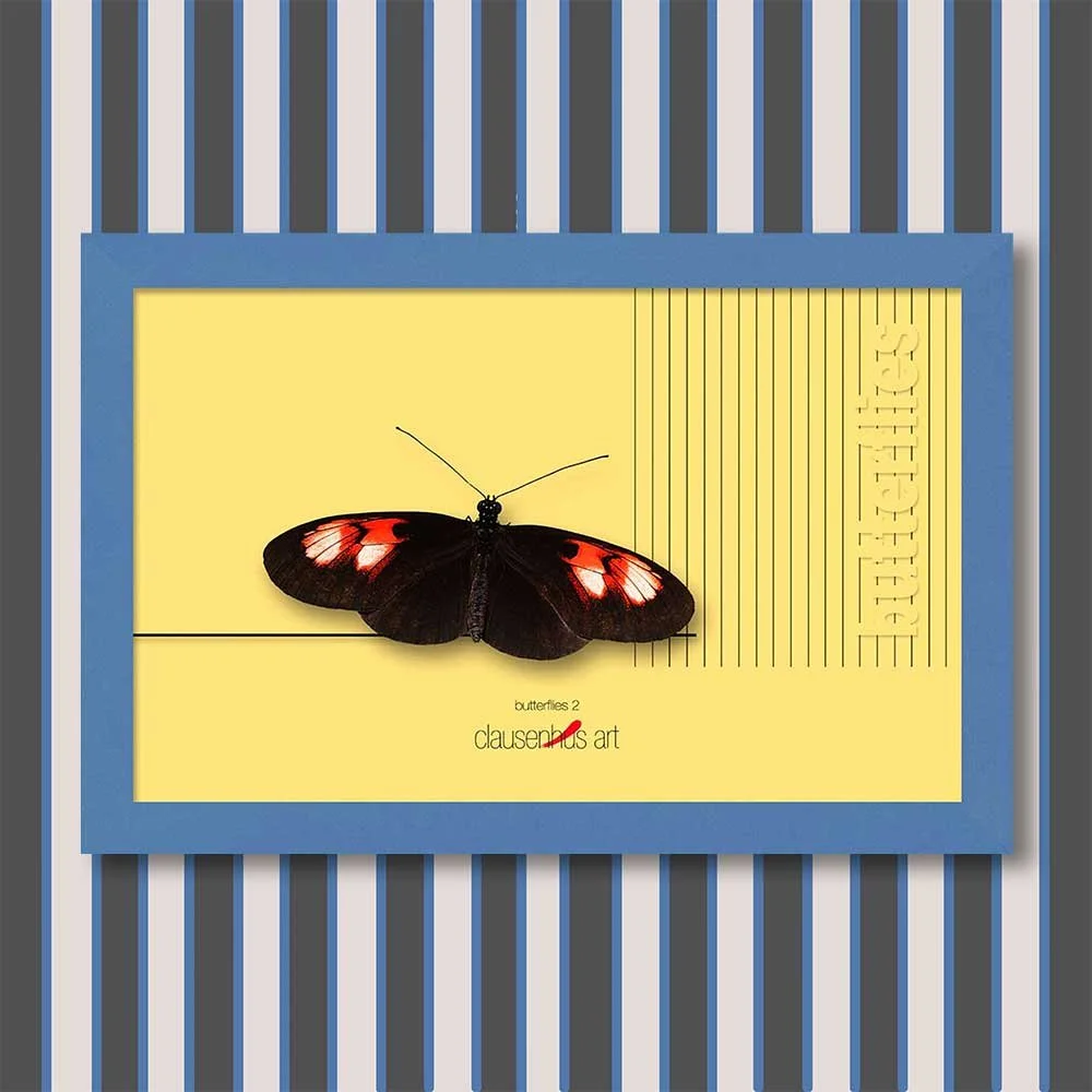 butterflies-2-copy.jpg