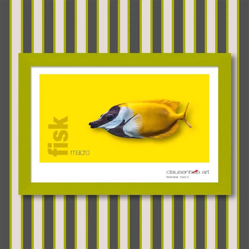 fiskemotiv-2-copy.jpg