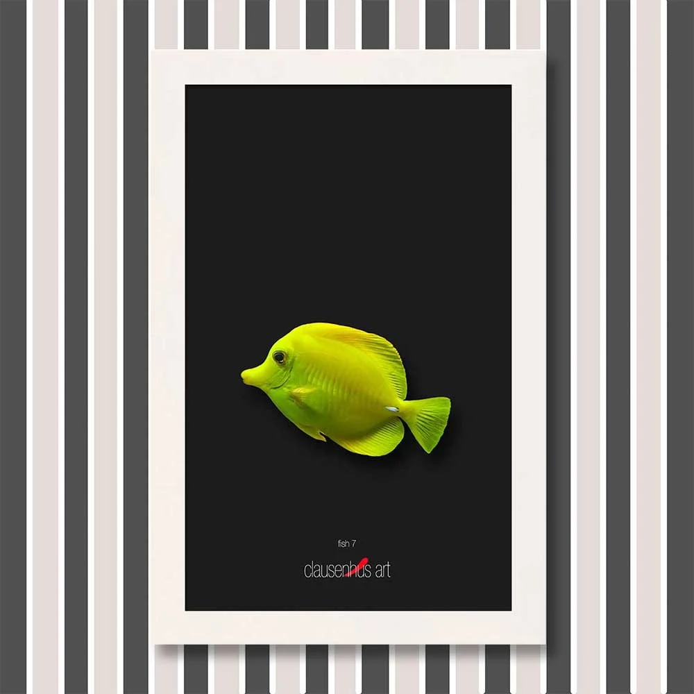 fish-7-copy.jpg