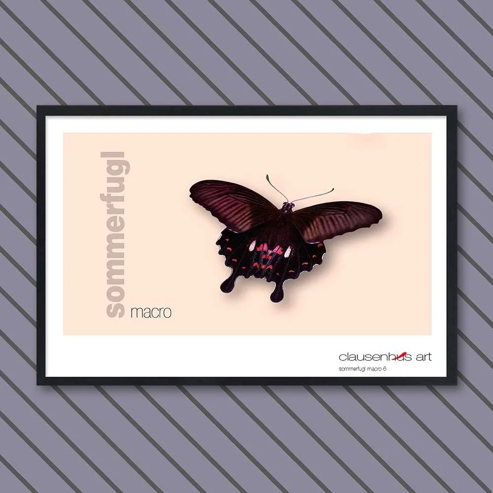 sommerfugl-6-copy.jpg