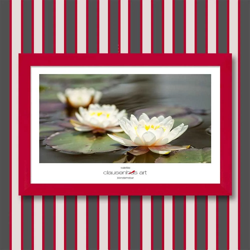 waterlilies-copy.jpg