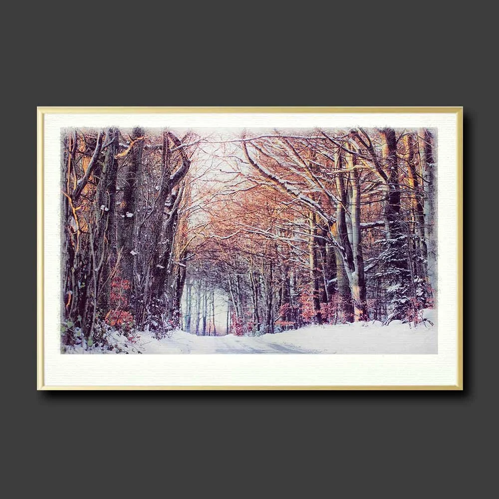 winter-forest-copy.jpg