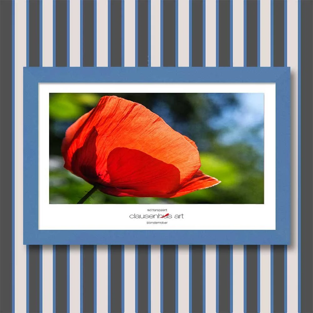 red-transparent-copy.jpg