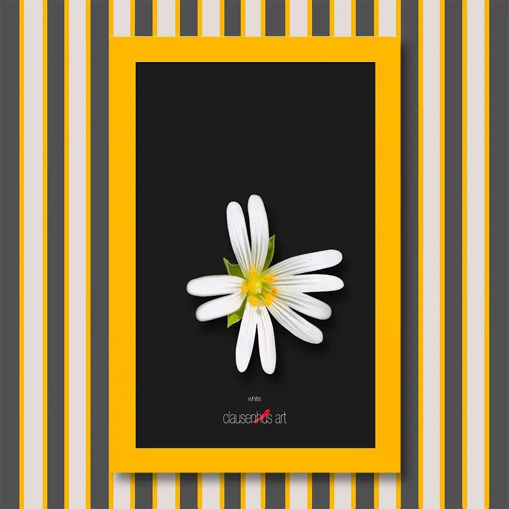 white-copy.jpg